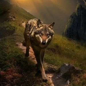 Meet your Posher, Alexia